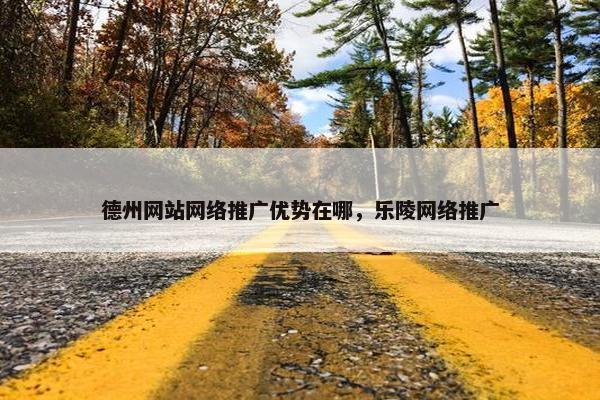 德州网站网络推广优势在哪，乐陵网络推广