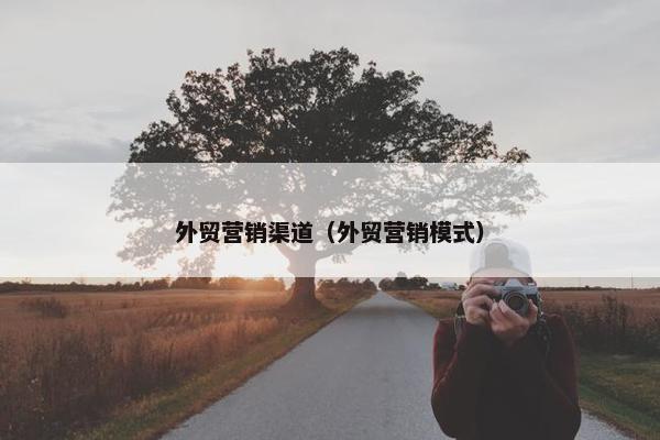 外贸营销渠道（外贸营销模式）