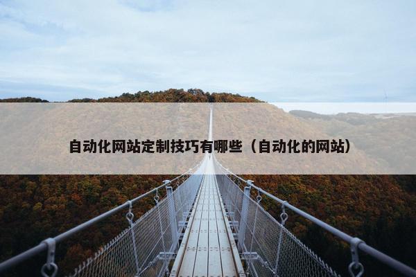 自动化网站定制技巧有哪些（自动化的网站）