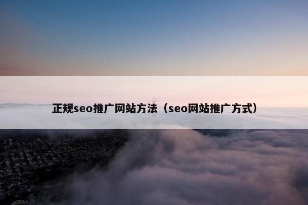 正规seo推广网站方法（seo网站推广方式）