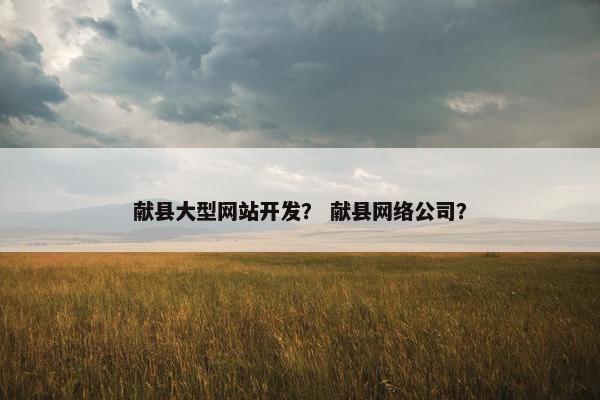献县大型网站开发？ 献县网络公司？