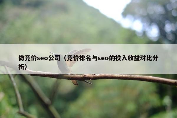 做竞价seo公司（竞价排名与seo的投入收益对比分析）