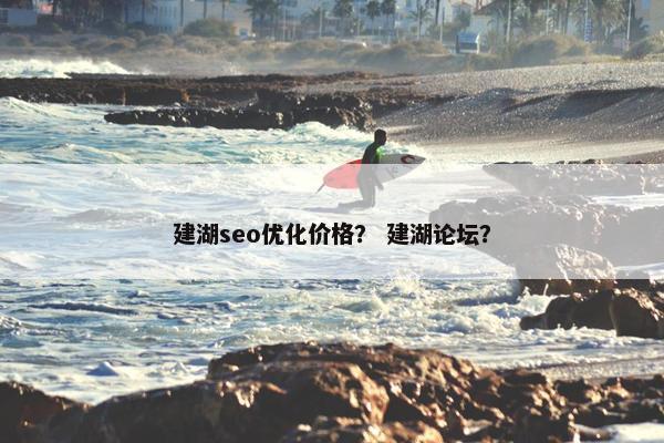 建湖seo优化价格？ 建湖论坛？