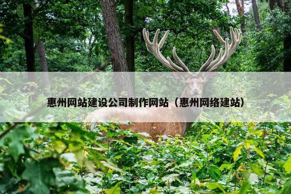 惠州网站建设公司制作网站（惠州网络建站）