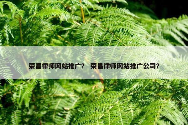 荣昌律师网站推广？ 荣昌律师网站推广公司？