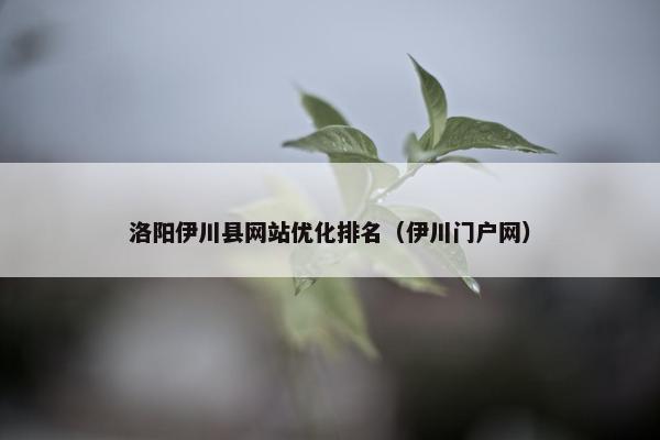 洛阳伊川县网站优化排名（伊川门户网）