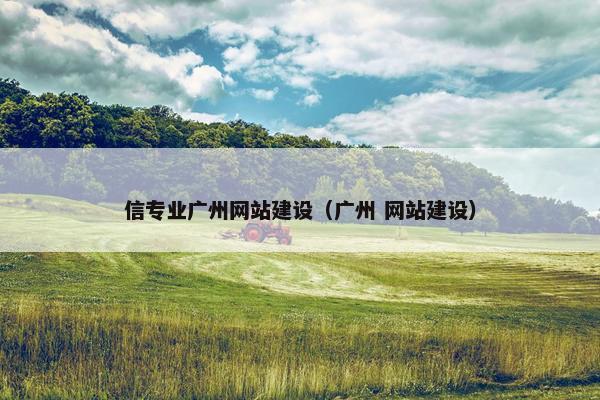 信专业广州网站建设（广州 网站建设）