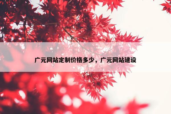 广元网站定制价格多少，广元网站建设