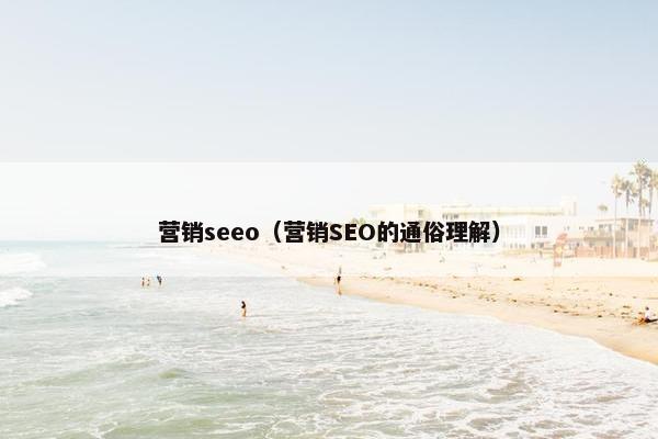 营销seeo（营销SEO的通俗理解）