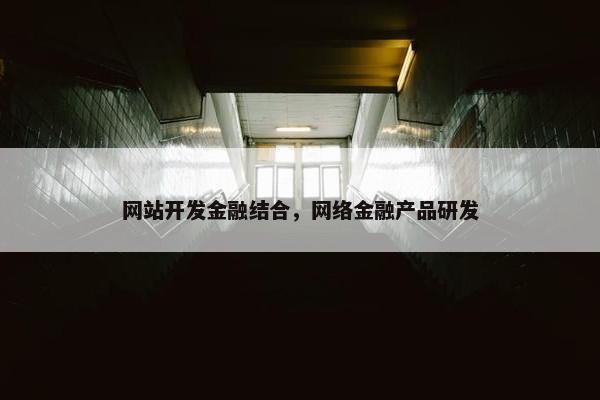 网站开发金融结合，网络金融产品研发
