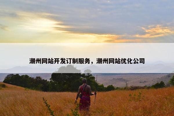 潮州网站开发订制服务，潮州网站优化公司