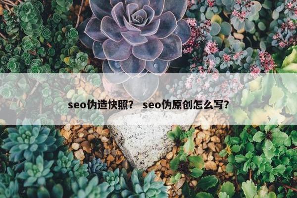 seo伪造快照？ seo伪原创怎么写？