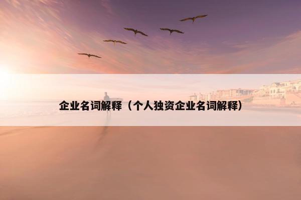企业名词解释（个人独资企业名词解释）