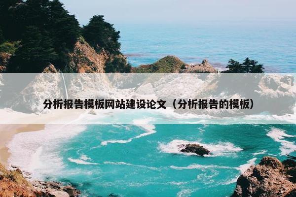分析报告模板网站建设论文（分析报告的模板）