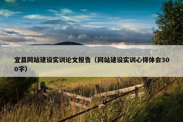 宜昌网站建设实训论文报告（网站建设实训心得体会300字）