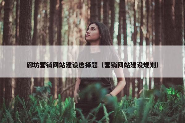 廊坊营销网站建设选择题（营销网站建设规划）