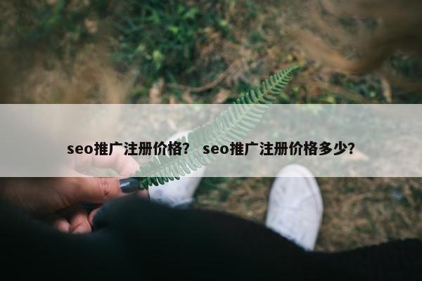 seo推广注册价格？ seo推广注册价格多少？
