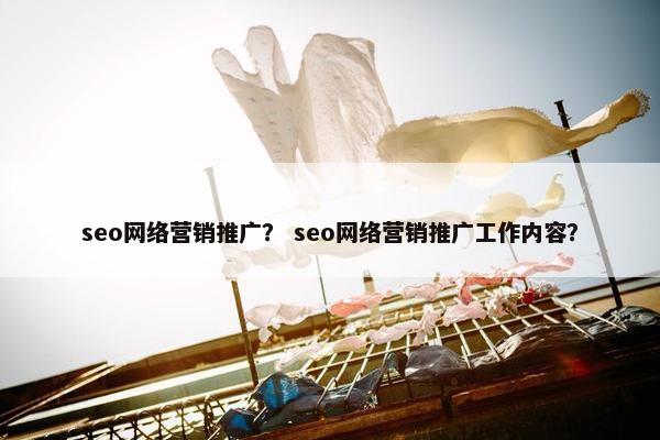 seo网络营销推广？ seo网络营销推广工作内容？
