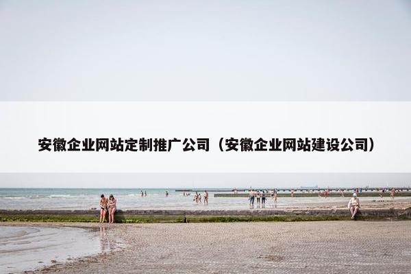 安徽企业网站定制推广公司（安徽企业网站建设公司）