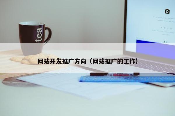 网站开发推广方向（网站推广的工作）