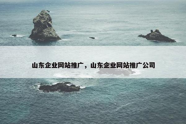 山东企业网站推广，山东企业网站推广公司