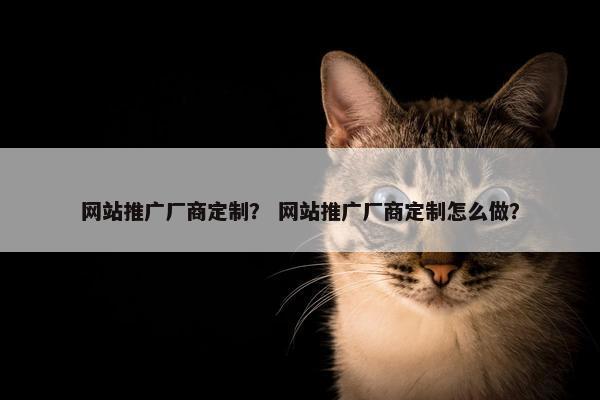 网站推广厂商定制？ 网站推广厂商定制怎么做？