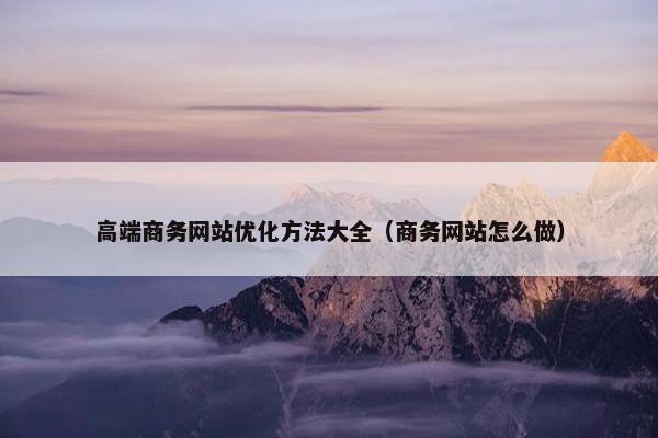 高端商务网站优化方法大全（商务网站怎么做）