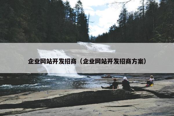 企业网站开发招商（企业网站开发招商方案）