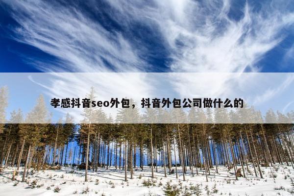 孝感抖音seo外包，抖音外包公司做什么的