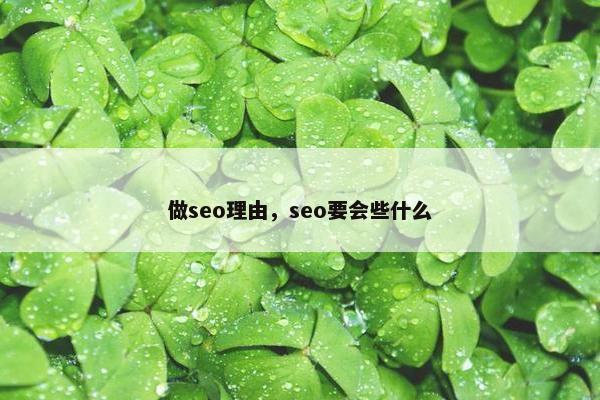 做seo理由，seo要会些什么