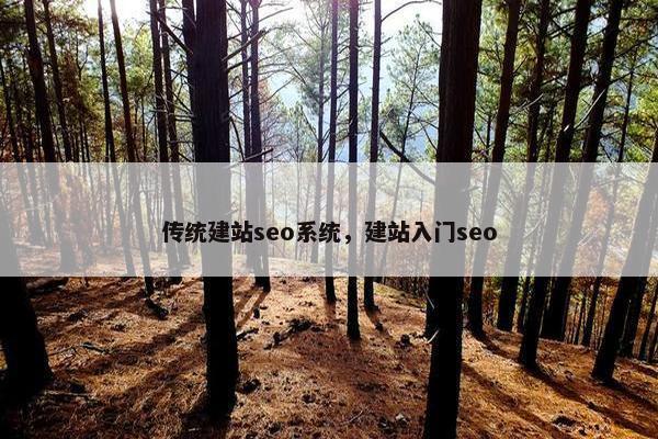 传统建站seo系统，建站入门seo