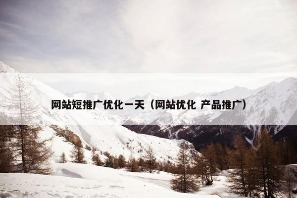 网站短推广优化一天（网站优化 产品推广）