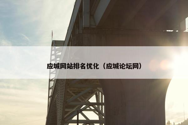 应城网站排名优化（应城论坛网）