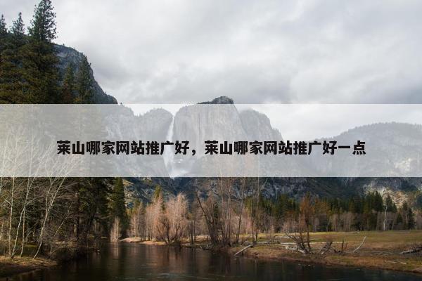 莱山哪家网站推广好，莱山哪家网站推广好一点