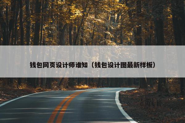 钱包网页设计师谁知（钱包设计图最新样板）