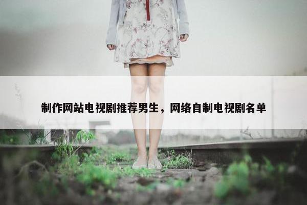 制作网站电视剧推荐男生，网络自制电视剧名单