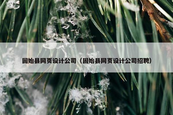 固始县网页设计公司（固始县网页设计公司招聘）