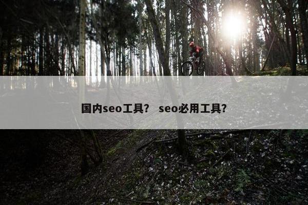 国内seo工具？ seo必用工具？