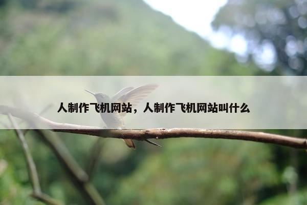 人制作飞机网站，人制作飞机网站叫什么