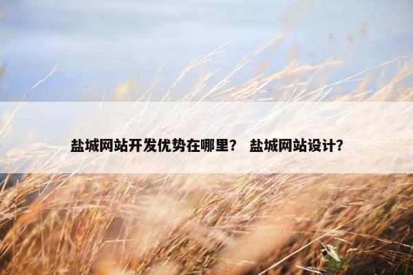 盐城网站开发优势在哪里？ 盐城网站设计？