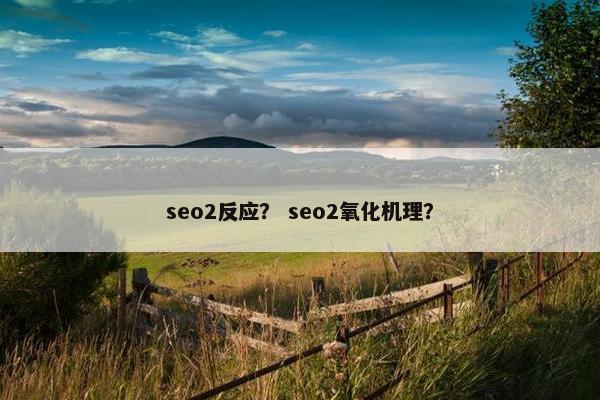seo2反应？ seo2氧化机理？