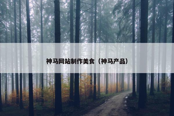 神马网站制作美食（神马产品）