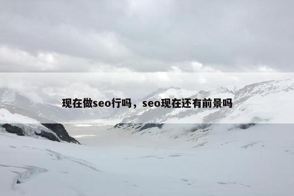 现在做seo行吗，seo现在还有前景吗