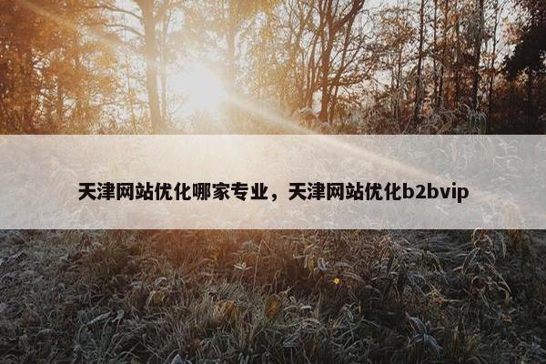 天津网站优化哪家专业，天津网站优化b2bvip