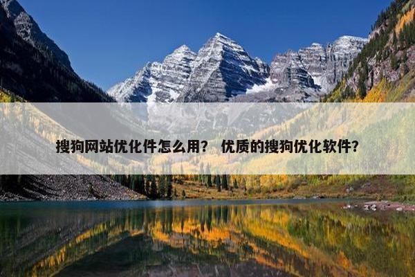 搜狗网站优化件怎么用？ 优质的搜狗优化软件？