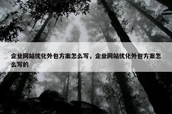 企业网站优化外包方案怎么写，企业网站优化外包方案怎么写的