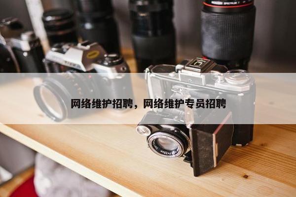 网络维护招聘，网络维护专员招聘