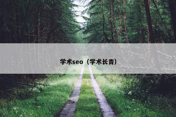学术seo（学术长青）