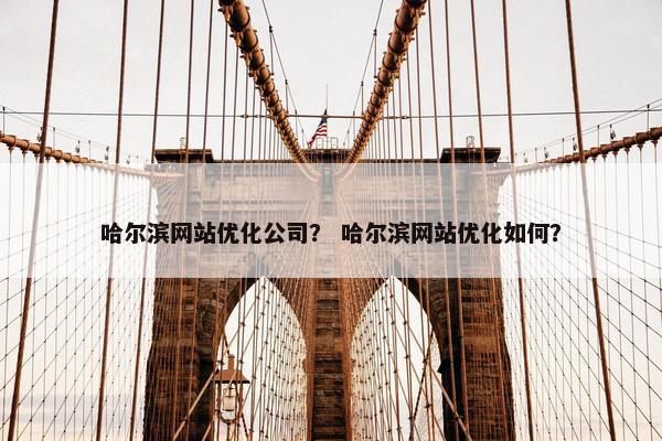 哈尔滨网站优化公司？ 哈尔滨网站优化如何？