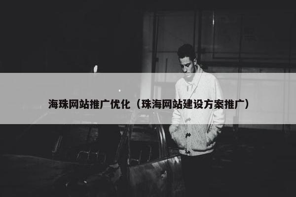 海珠网站推广优化（珠海网站建设方案推广）